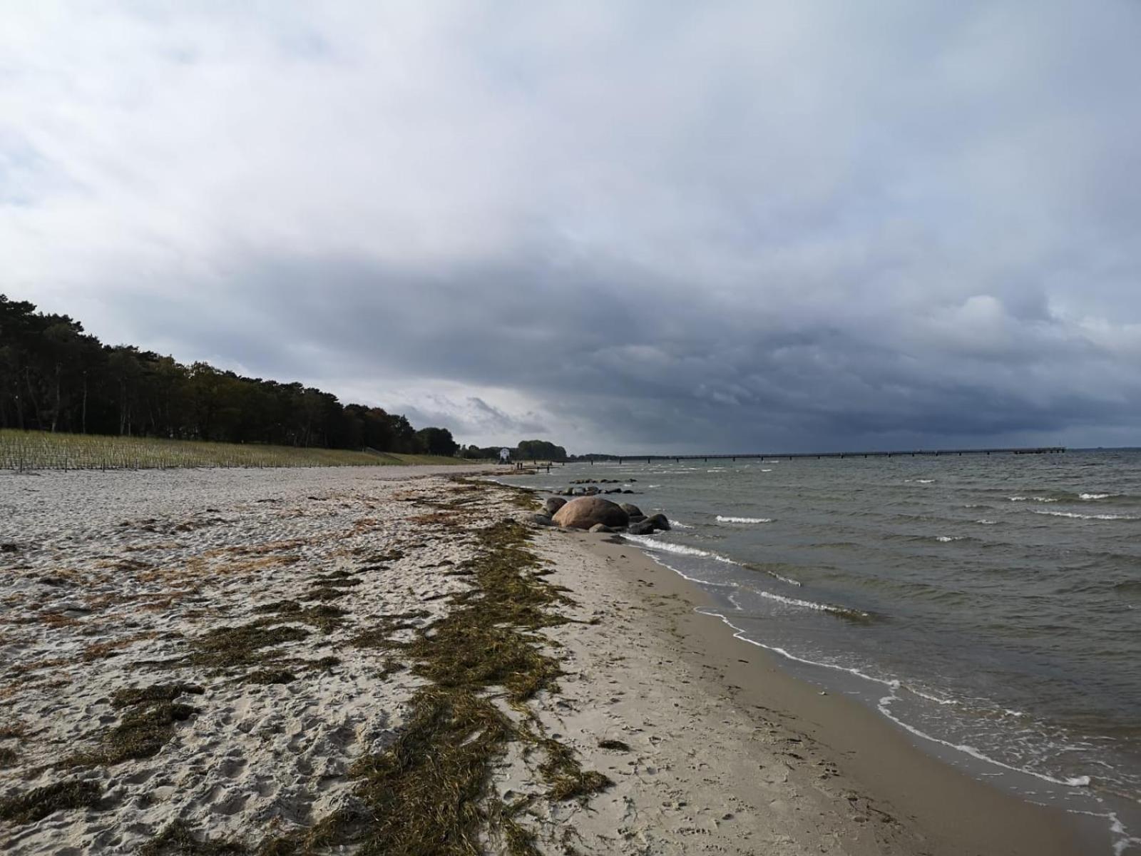Ferienwohnungen "Weitblick" Und "Schwalbennest" Lodmannshagen Номер фото